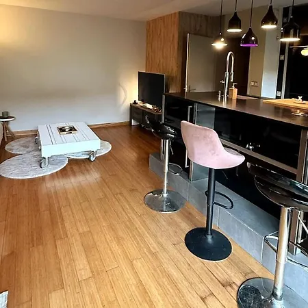 Old - Elegant Cocoon 70 M2-garden 55 M2 Appartement Lille