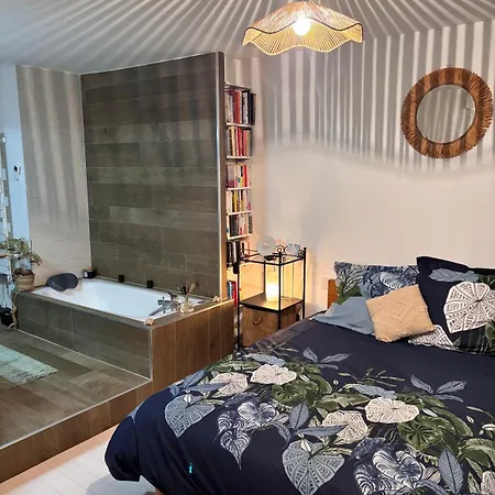 Old - Elegant Cocoon 70 M2-garden 55 M2 Apartamento Lille