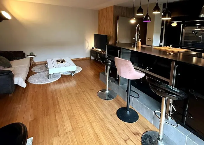 Old - Elegant Cocoon 70 M2-garden 55 M2 Appartement Lille