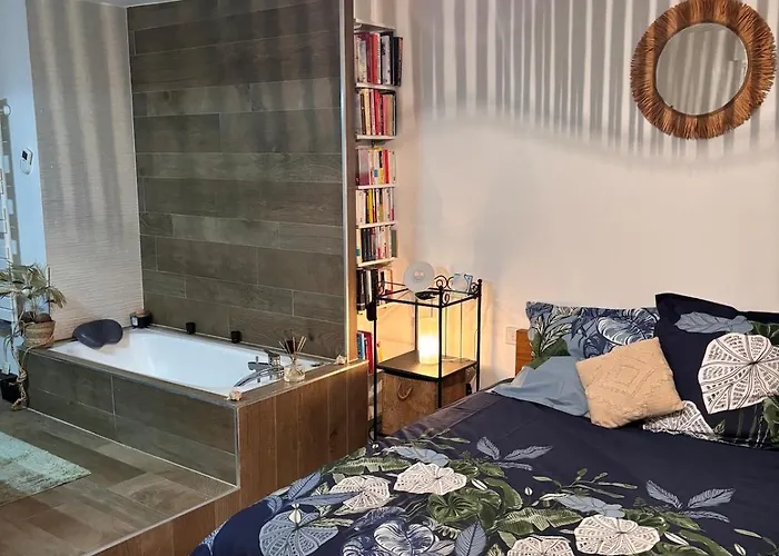 Old - Elegant Cocoon 70 M2-garden 55 M2 Appartement Lille